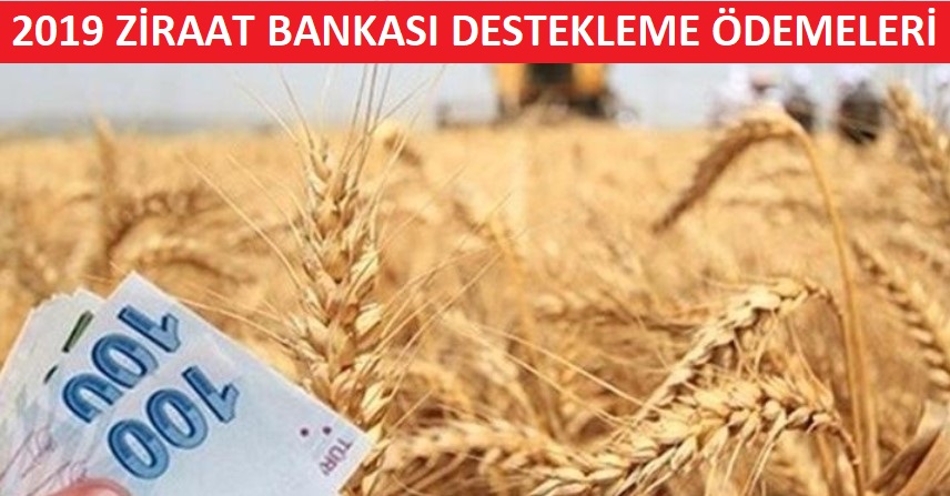 2019 Yılı Destek Ödemeleri